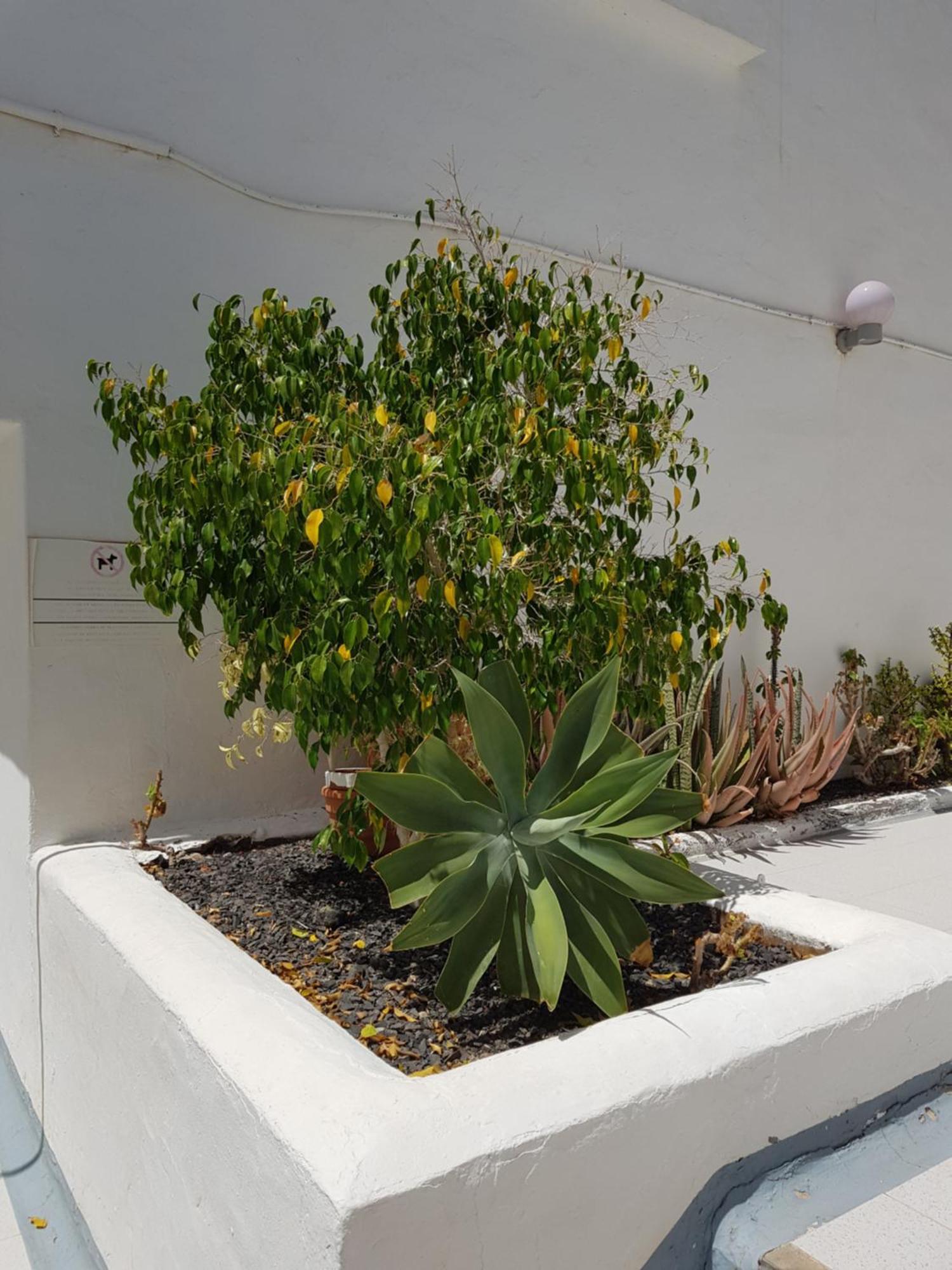 Stunning 2 Bedroom Duplex Close To Main Beach With Seaviews Puerto del Carmen  Exteriér fotografie